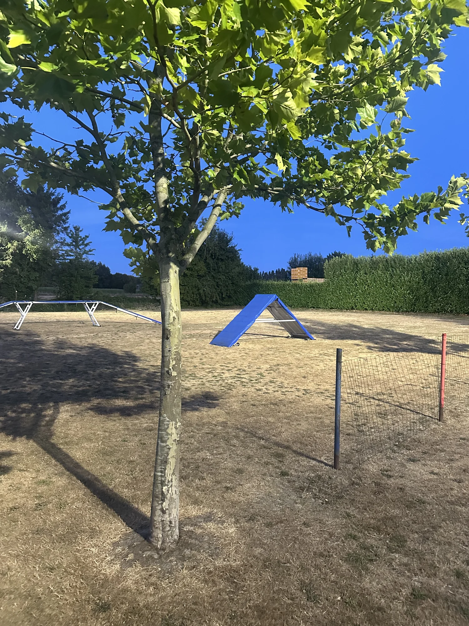 Verlichting rond de trainingstoestellen bij Hondenschool Filos Moerbeke